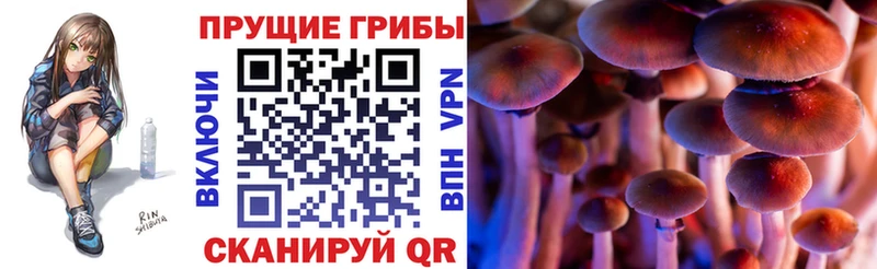 Псилоцибиновые грибы прущие грибы магазин Канск